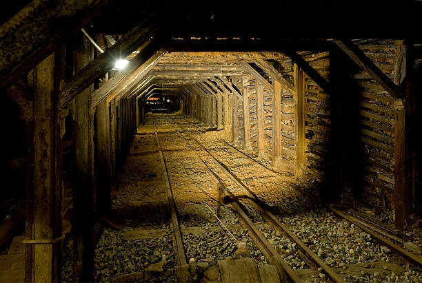 Level 8 — Forgotten Mineshaft